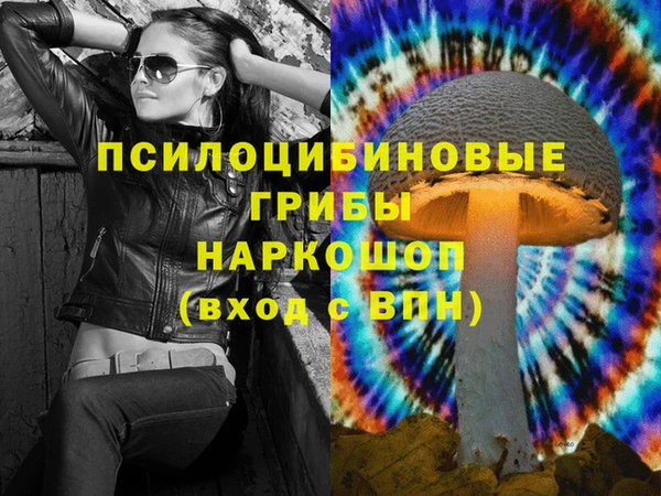 PSILOCYBIN Аркадак