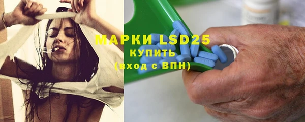 PSILOCYBIN Аркадак
