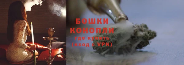 PSILOCYBIN Аркадак