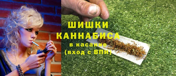 PSILOCYBIN Аркадак