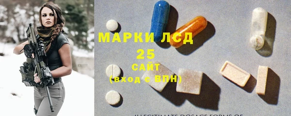PSILOCYBIN Аркадак