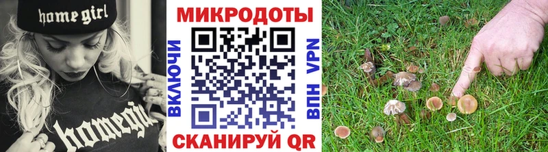 наркошоп  Асино  Псилоцибиновые грибы Magic Shrooms 